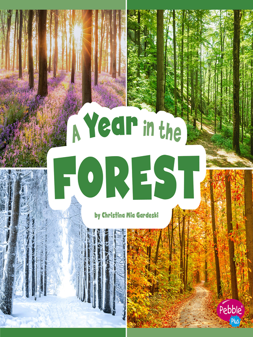 Title details for A Year in the Forest by Christina Mia Gardeski - Wait list